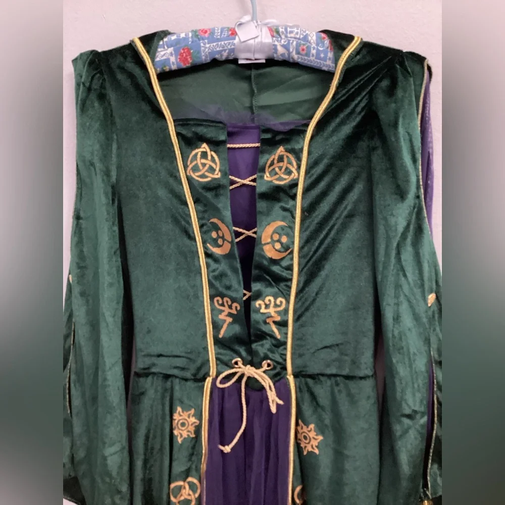 Hocus locus Disney costume